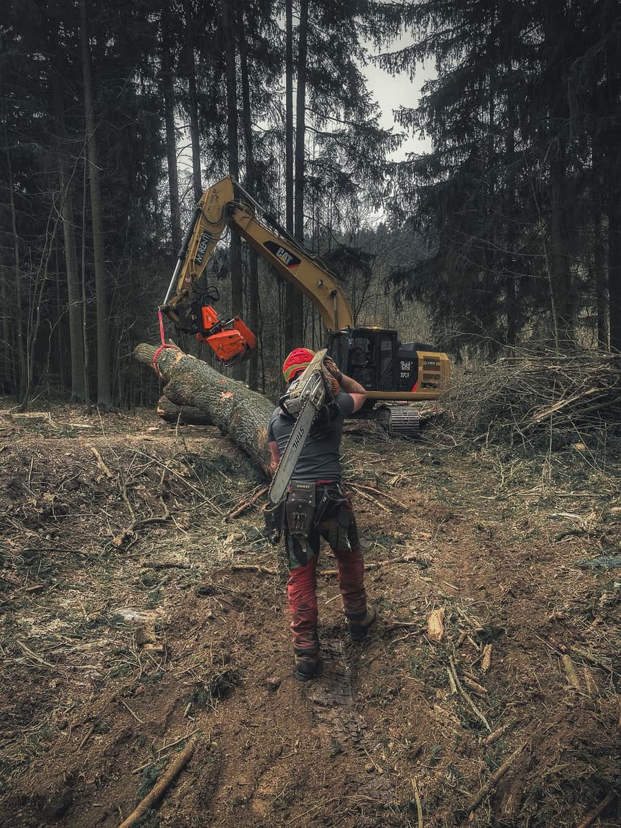 Zpracování dřeva