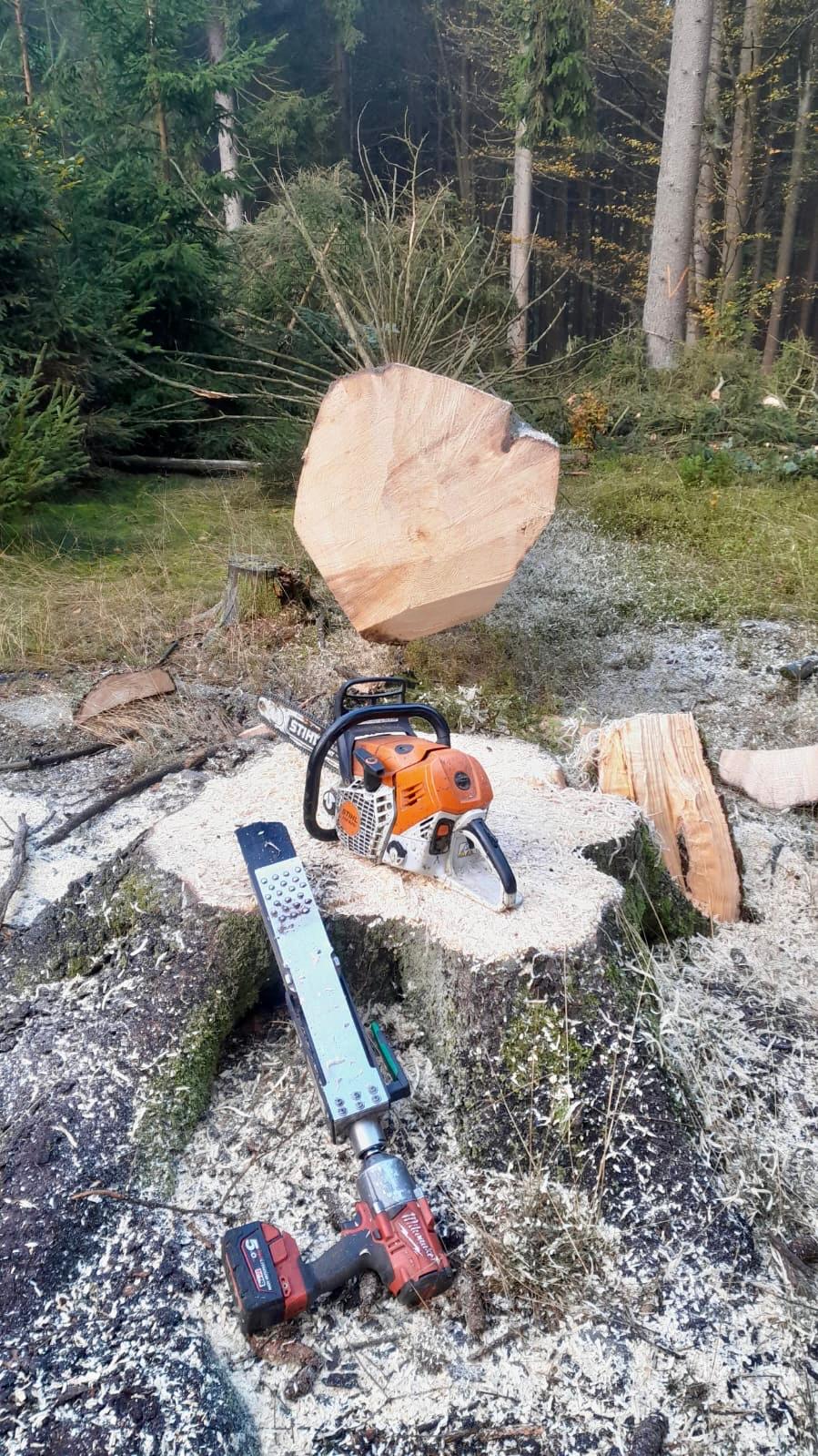 Jak dlouho trvá kácení stromu a co ovlivňuje časovou náročnost?